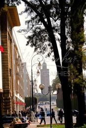 Image du Maroc Professionnelle de  Le Boulevard Mohammed V situé au Centre ville de Rabat est considéré comme la plus belle avenue du Maroc. Celle-ci nécessite une véritable rénovation. le 2 Mars 2007. (Photo / Abdeljalil Bounhar)